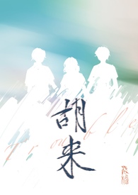 胡来(NP)